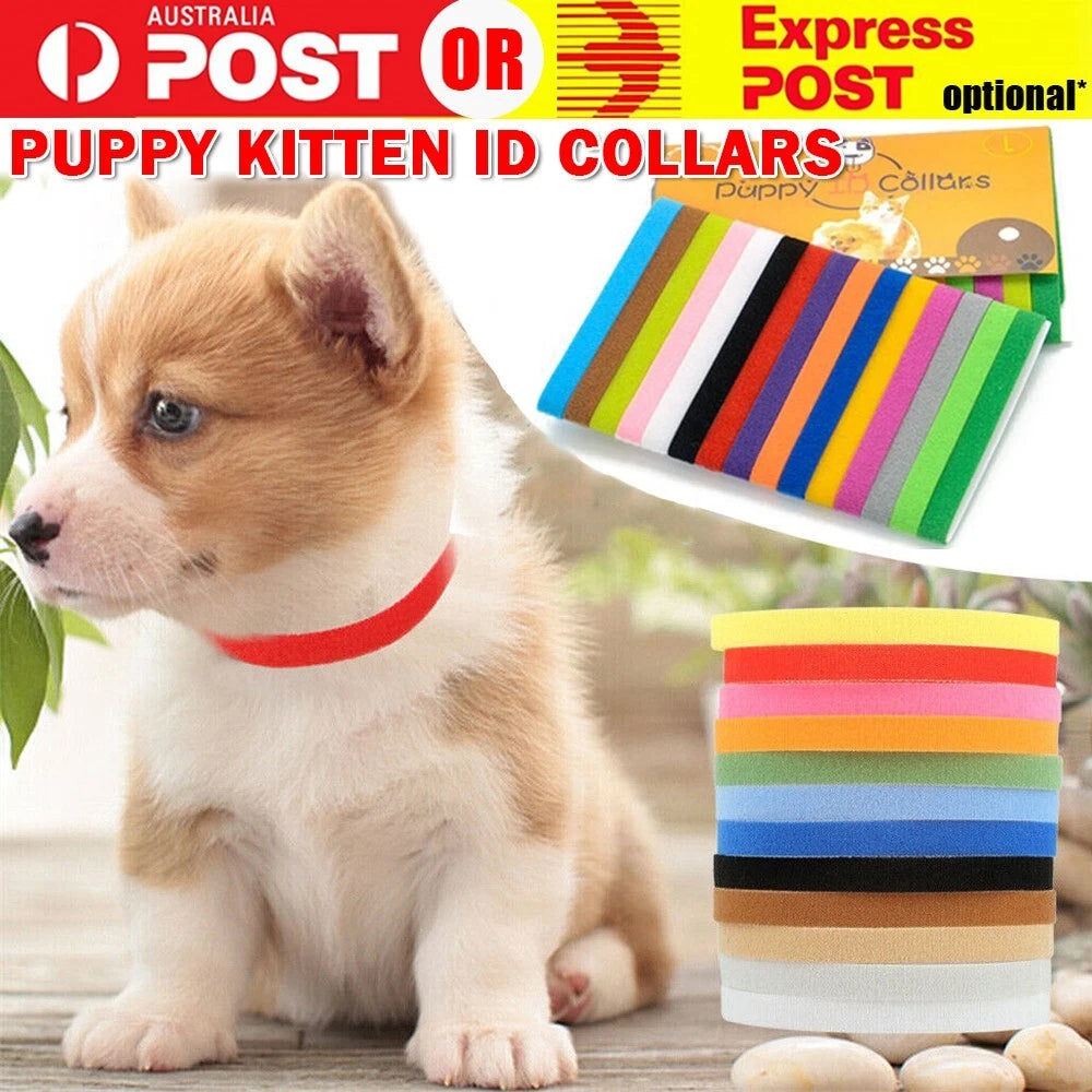 12 Colours Whelping ID Collar Bands Pet Puppy Kitten Dog Cat Identification Tags
