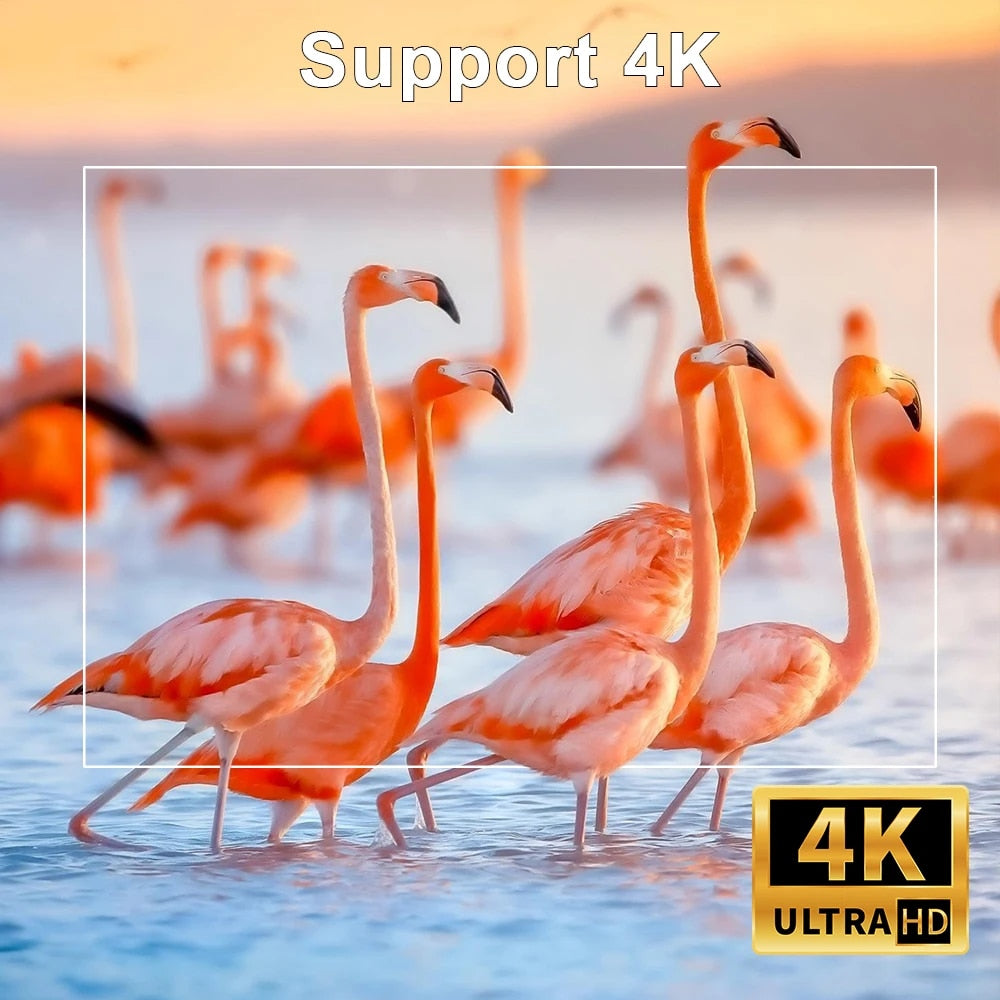 Mini 4K DH Portable Wireless Projector Companion for Home Theater Presentations and Outdoor Cinema, HY300, Android 11.0, 720P, 1080P, 4K, 200ANSI, BT5.0, Adjustable Projection Angle