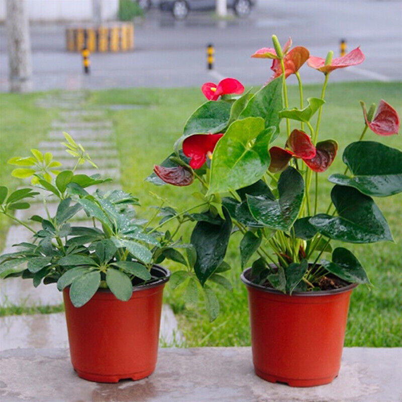 400X Plastic Plant Flower Pots Nursery Seedlings Growing Garden Red Plant Pots