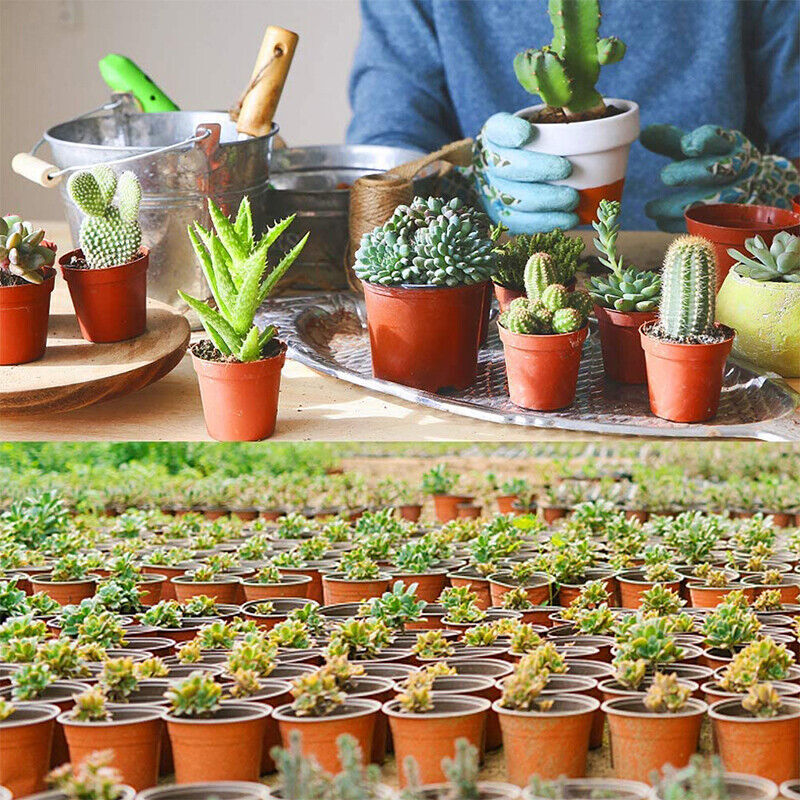 400X Plastic Plant Flower Pots Nursery Seedlings Growing Garden Red Plant Pots