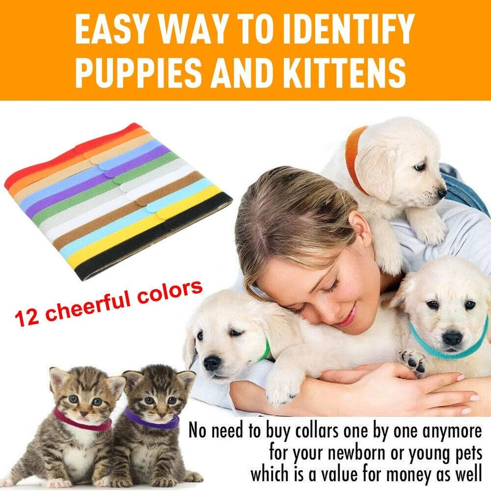 12 Colours Whelping ID Collar Bands Pet Puppy Kitten Dog Cat Identification Tags
