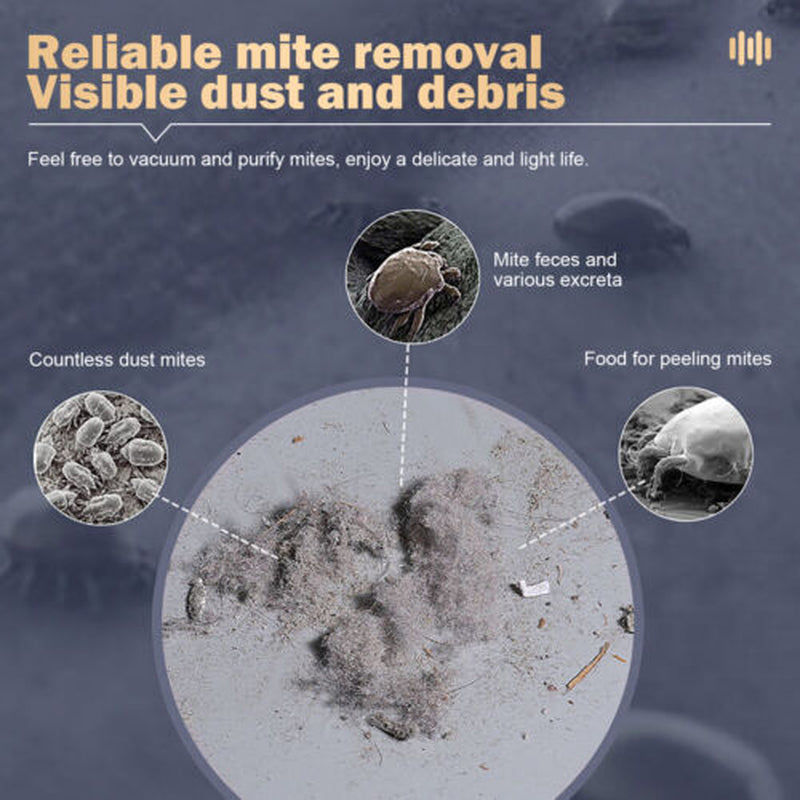 Cordless Dust Mite Remover Vacuum UV Cleaner 10000Kpa Home Bed Sofa Mattress Kit