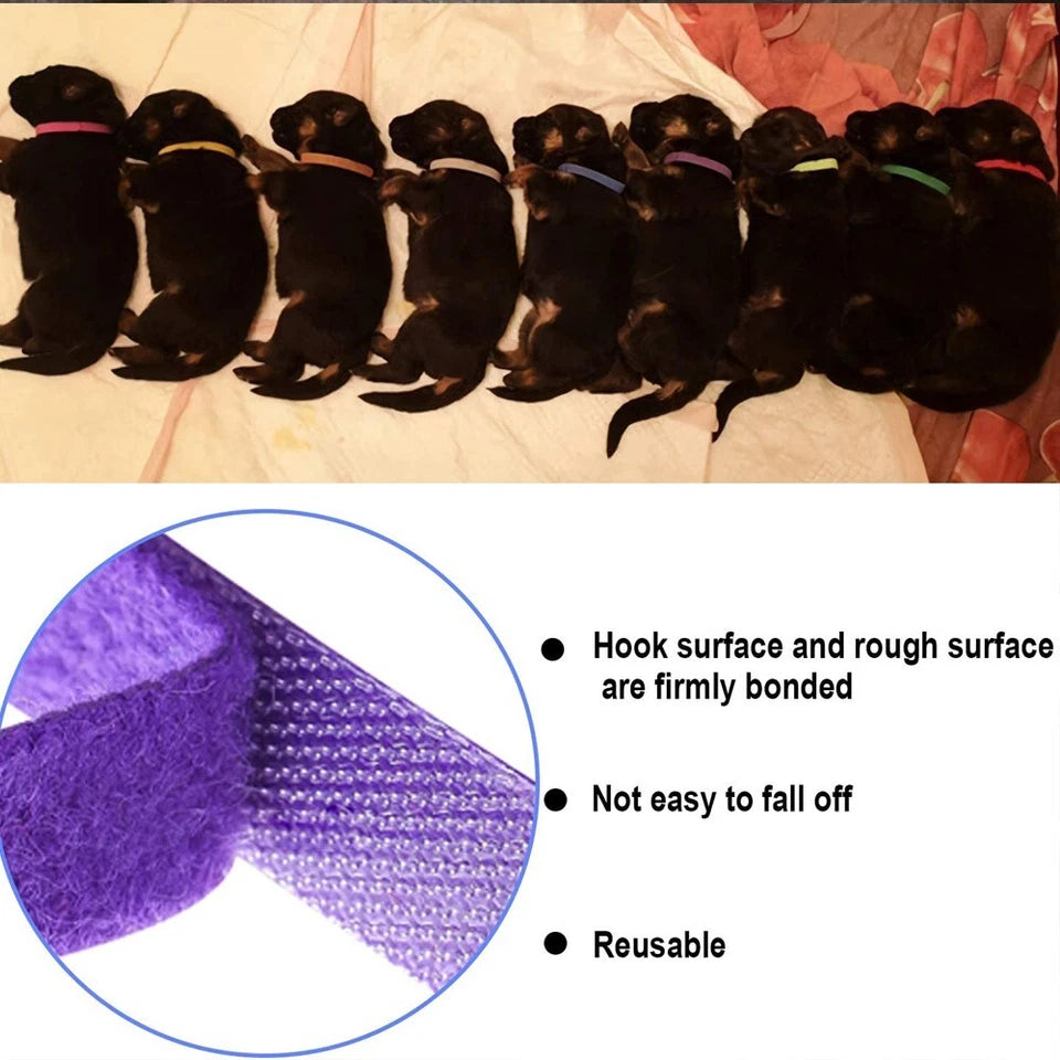12 Colours Whelping ID Collar Bands Pet Puppy Kitten Dog Cat Identification Tags