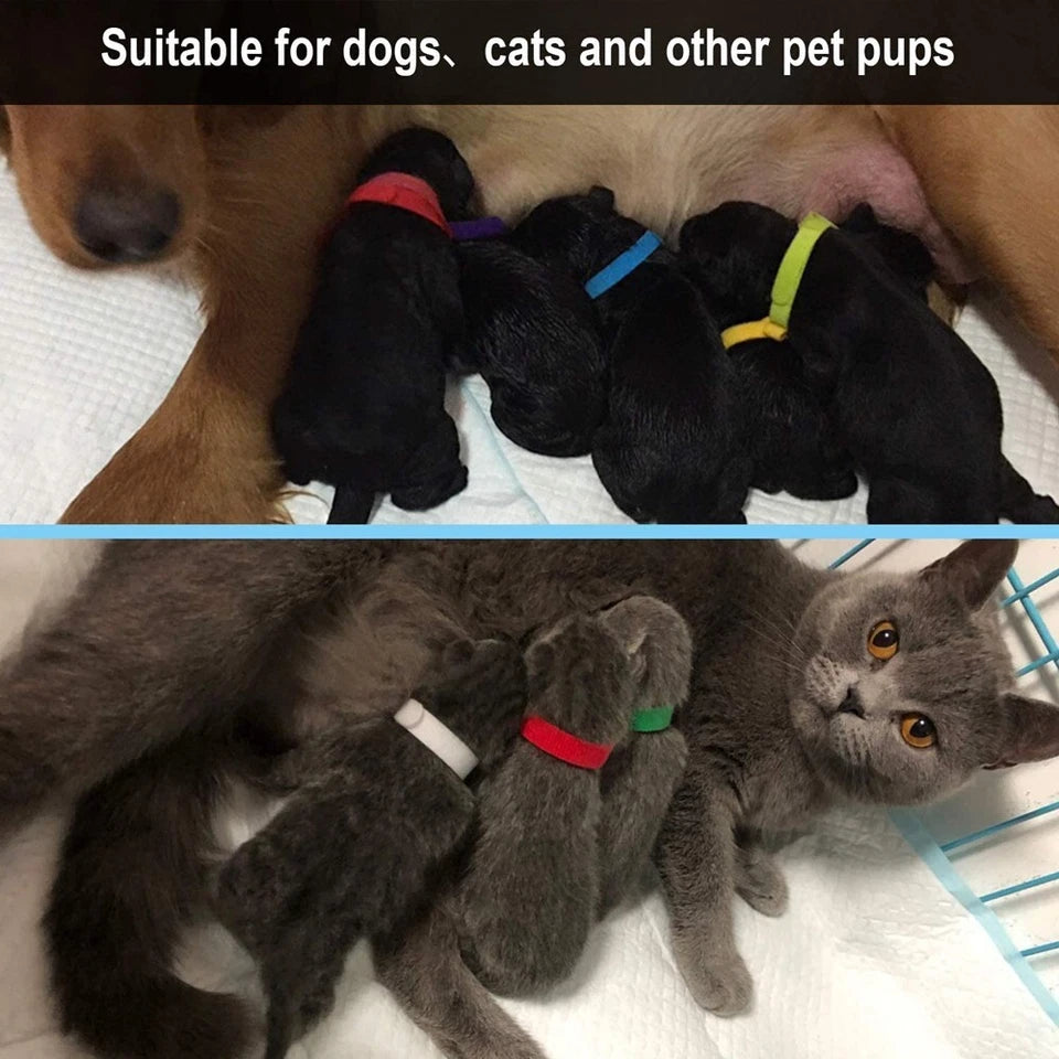 12 Colours Whelping ID Collar Bands Pet Puppy Kitten Dog Cat Identification Tags