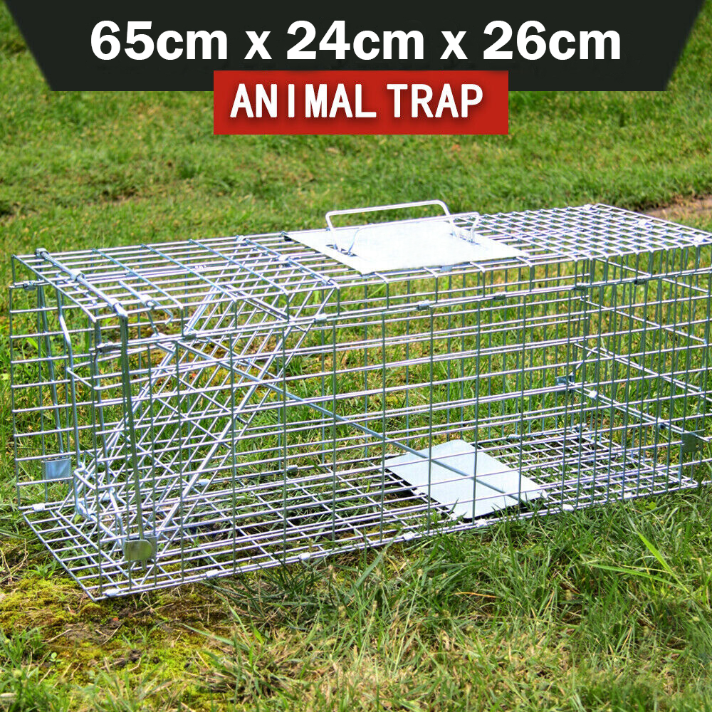 Animal Trap Cage Folding Humane Live Safe Catch Possum Fox Rat Rabbit Bird
