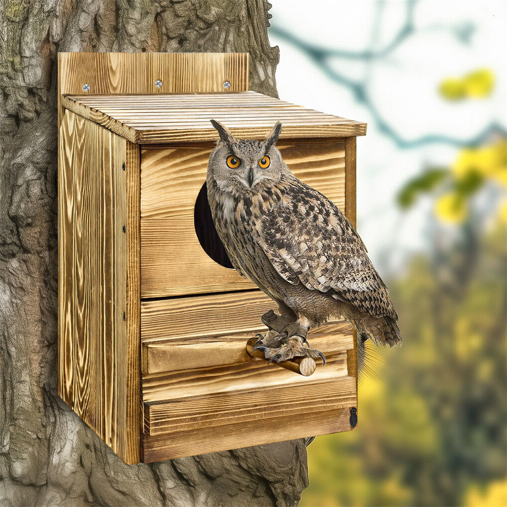 Owl Nesting Box Bird Feeder Paulownia Wood Acrylic