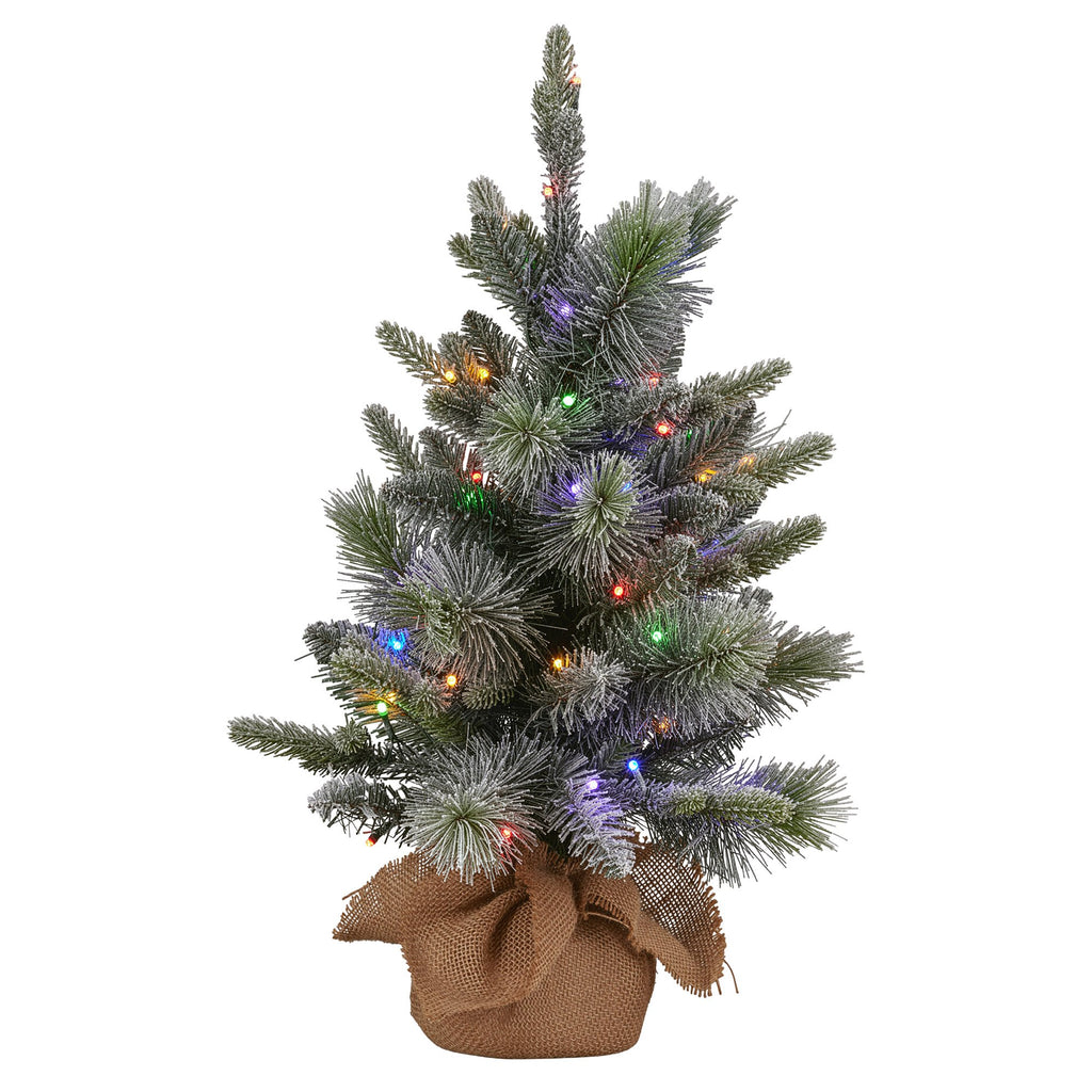 Christabelle 61cm Pre-Lit Snowy Stamford Spruce Battery-Operated Mini Christmas Tree Multi-Functional LED Timer