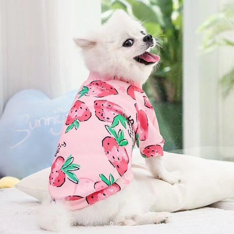 M Size Cute Pet Dog Warm Jumper Sweater Clothes Cat Knitwear Knitted Coats Winter - Green Lemon