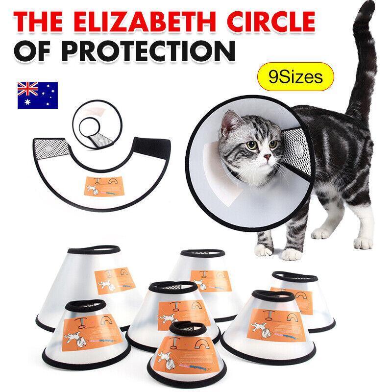 Pet Cat Dog Protective Cone Collar Elizabethan E Collar Wound Healing Recovery - 7