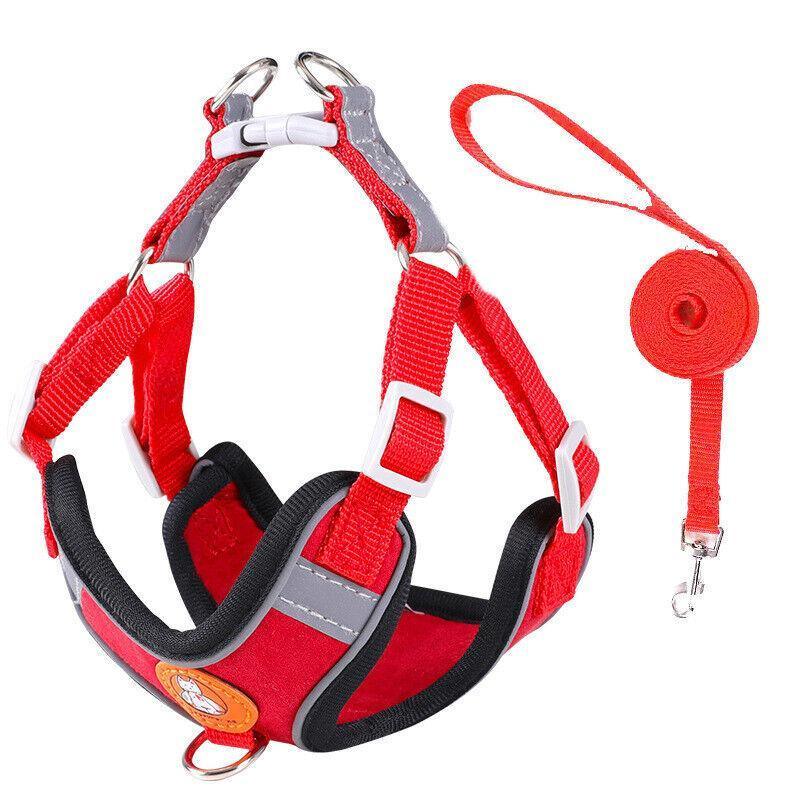 Dog Harness Cat Lead Puppy Leash Vest Mesh Breathe Adjustable Braces Small Pet Red - XXXS