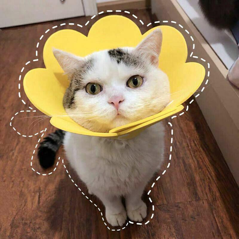 Pet Dog Cat Adjustable Soft Healing Elizabethan Collar Cone Medical Protective - Pink
