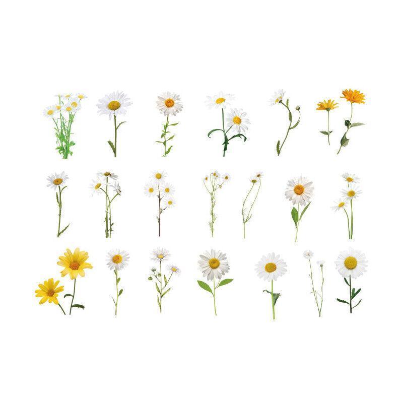 Scrapbooking Flower Stickers Pet Transparent Sticker - A
