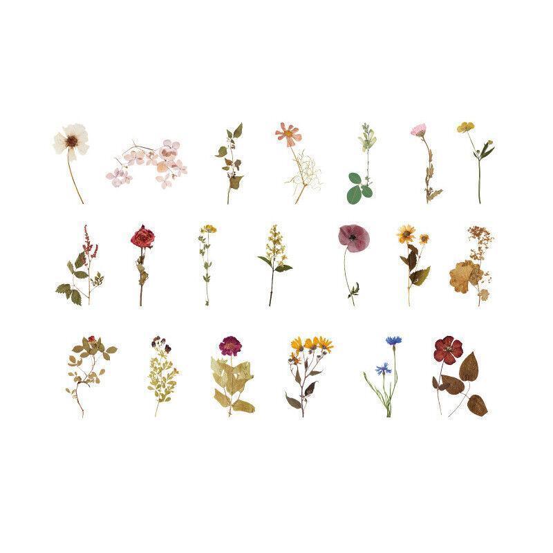 Scrapbooking Flower Stickers Pet Transparent Sticker - A