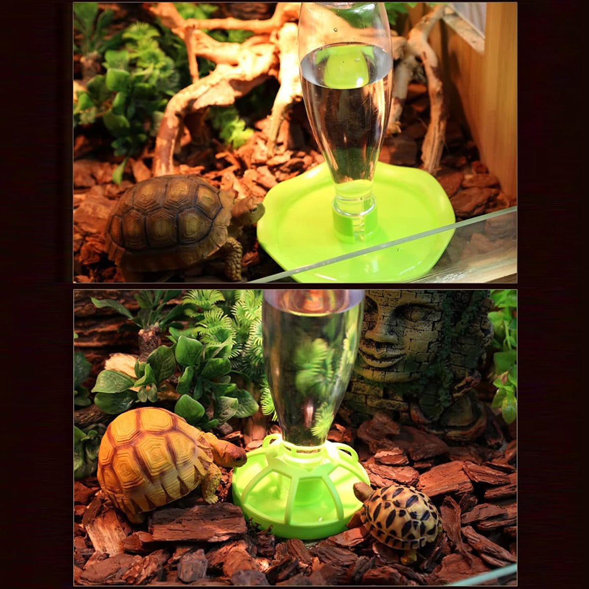 Reptile Water Bowl with Bottle for Lizard Gecko Snake Inverted Bottle Dispenser - Purple Platform S
