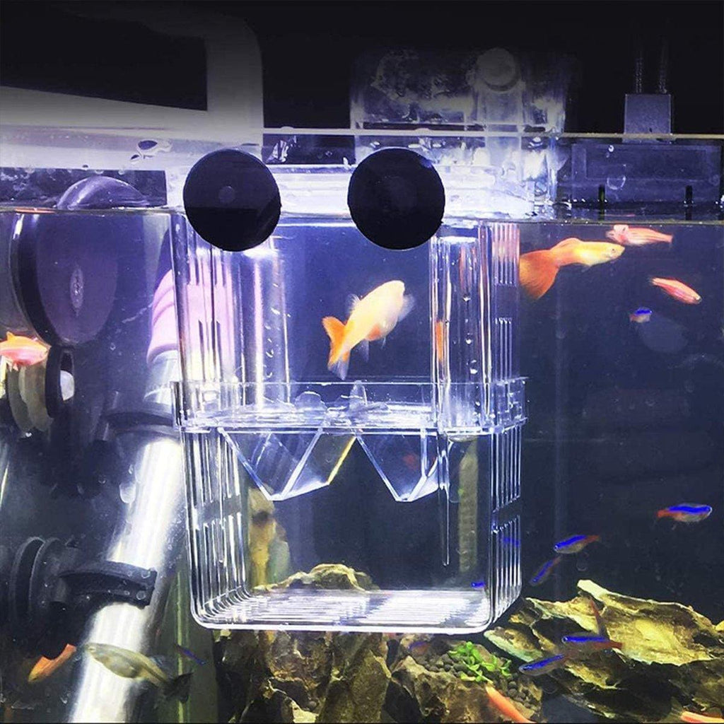 Guppy Breeding Aquarium Fish Tank Hatchery Isolation Breeder Rearing Box - L-13*10*7cm