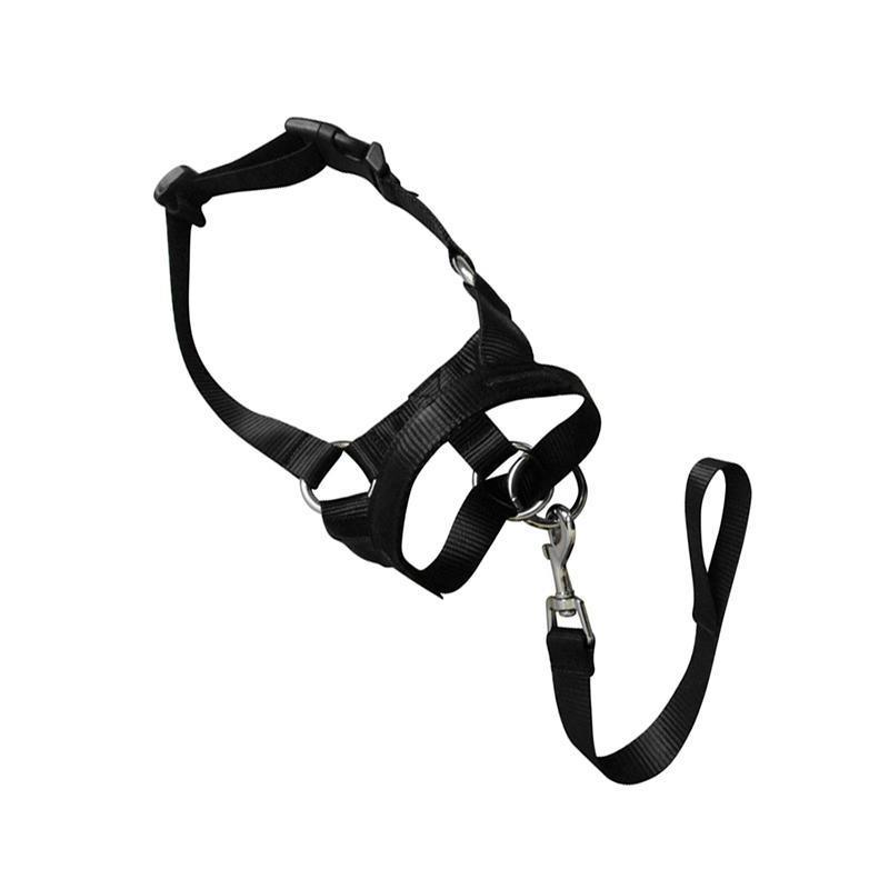 Black Dog Training Head Collar Halter Stop Pulling Training Tool Harness Strap Leader - M