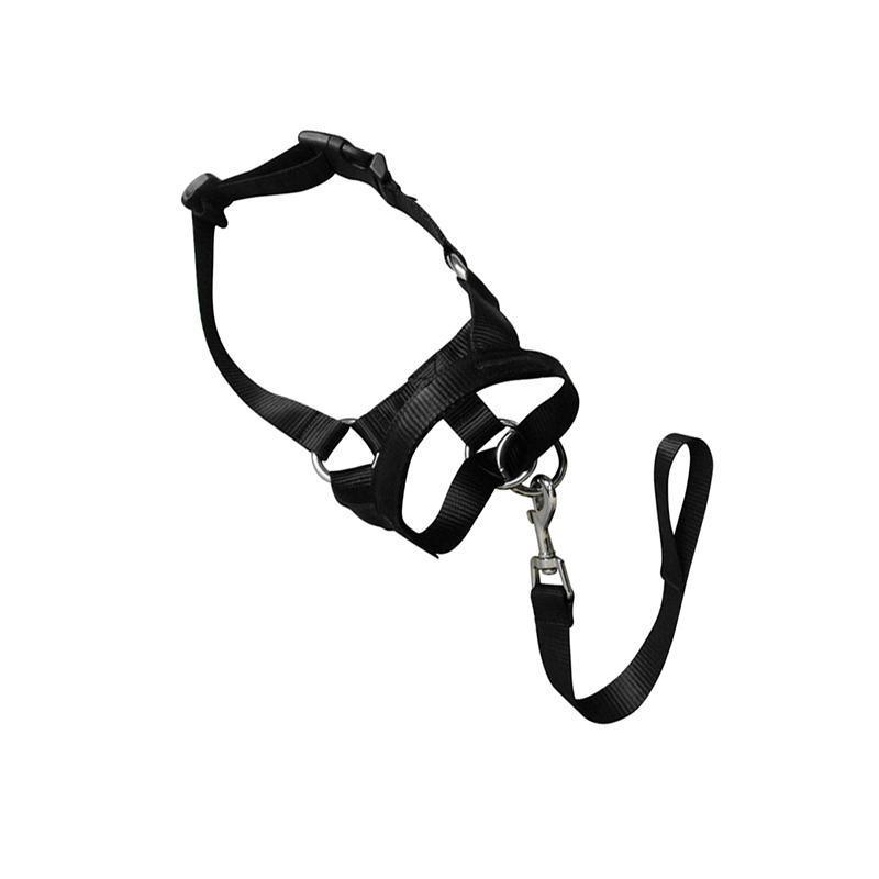 Black Dog Training Head Collar Halter Stop Pulling Training Tool Harness Strap Leader - XXL