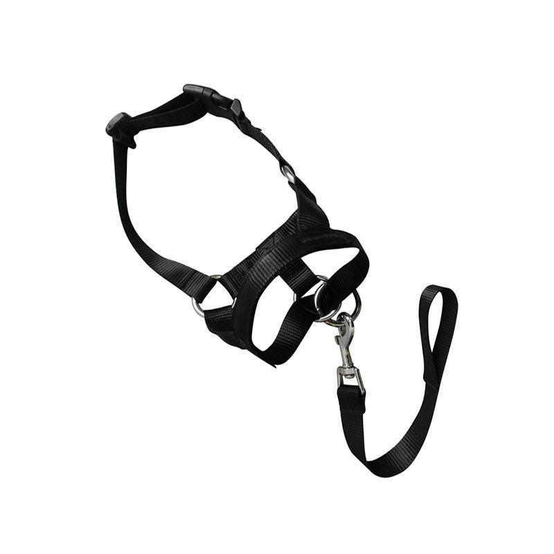 Black Dog Training Head Collar Halter Stop Pulling Training Tool Harness Strap Leader - XXL