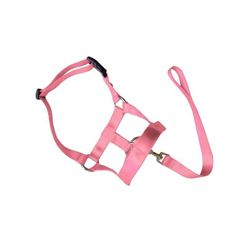 Pink Dog Training Head Collar Halter Stop Pulling Training Tool Harness Strap Leader - S