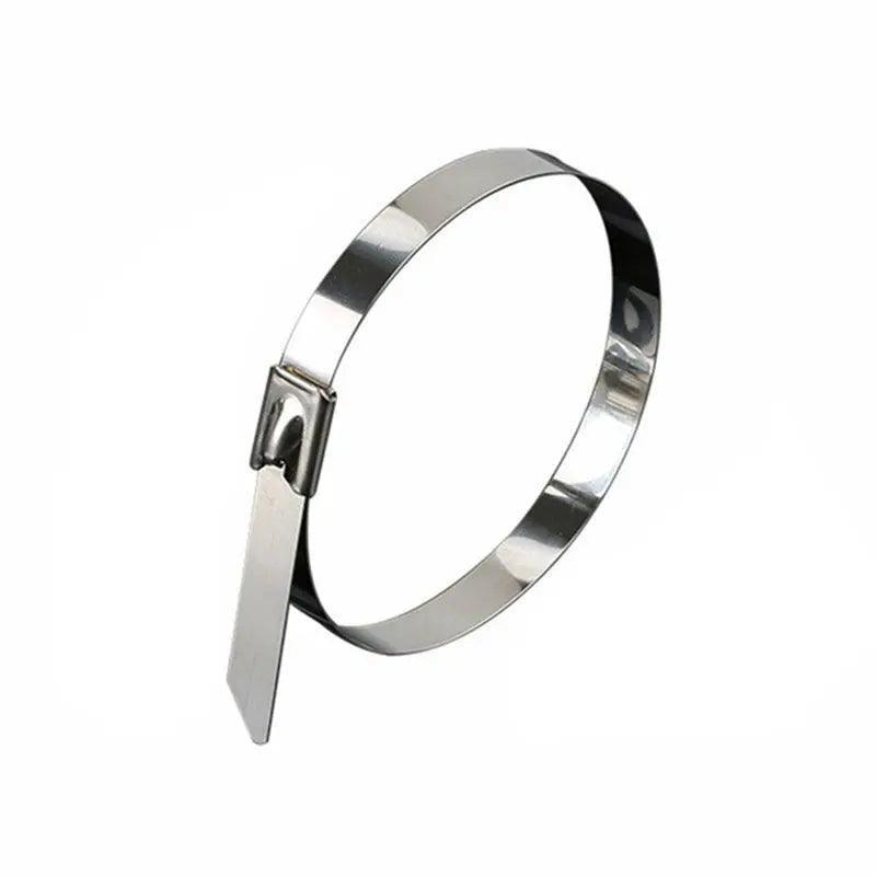 20X Stainless Steel Cable Ties S304 Marine Grade Zip Strap Locking Wrap 100-800Mm - 4.6*600mm