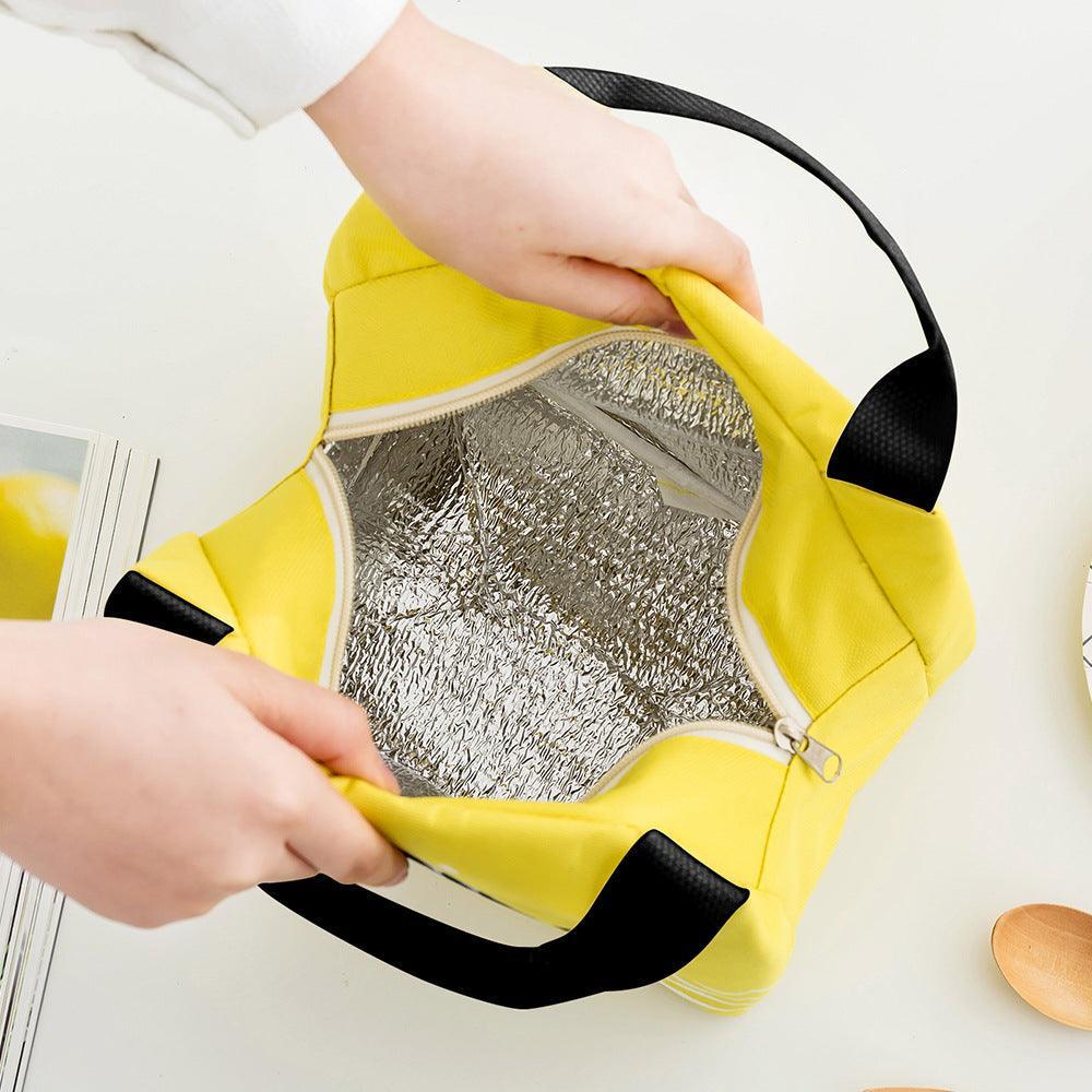 Portable Insulated Thermal Lunch Box Carry Tote Picnic Case Storage Bag 21x17x15cm - C02 (21x17x15cm)