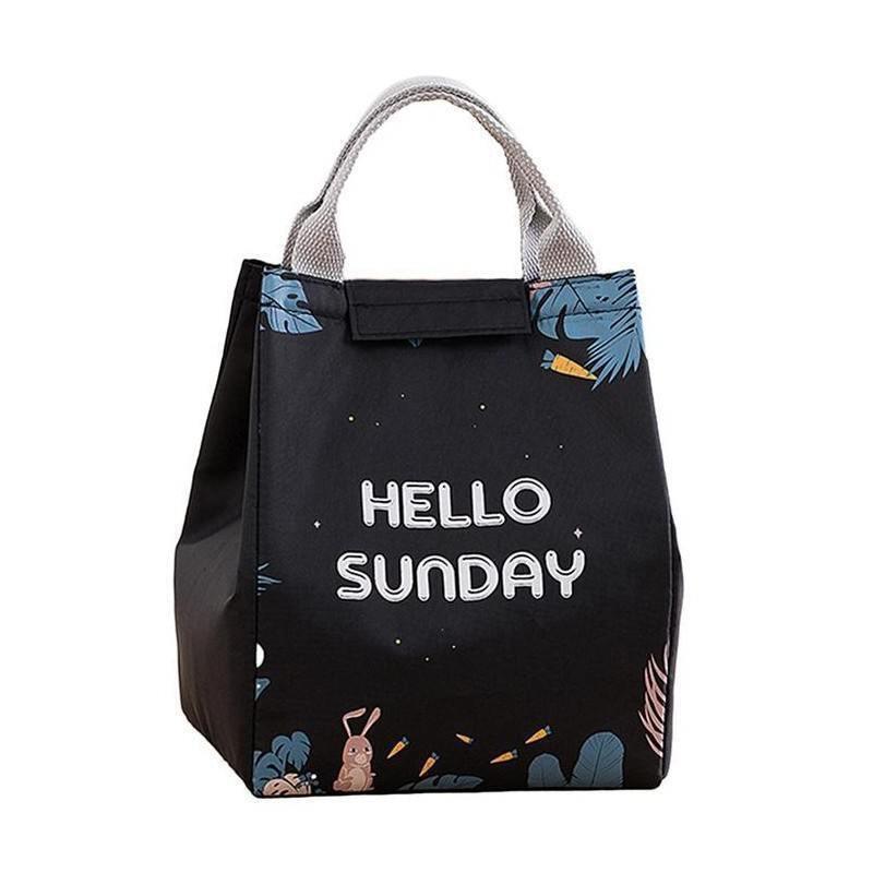 Portable Insulated Thermal Lunch Box Carry Tote Picnic Case Storage Bag 18x24x15cm - E08 (18x24x15cm)