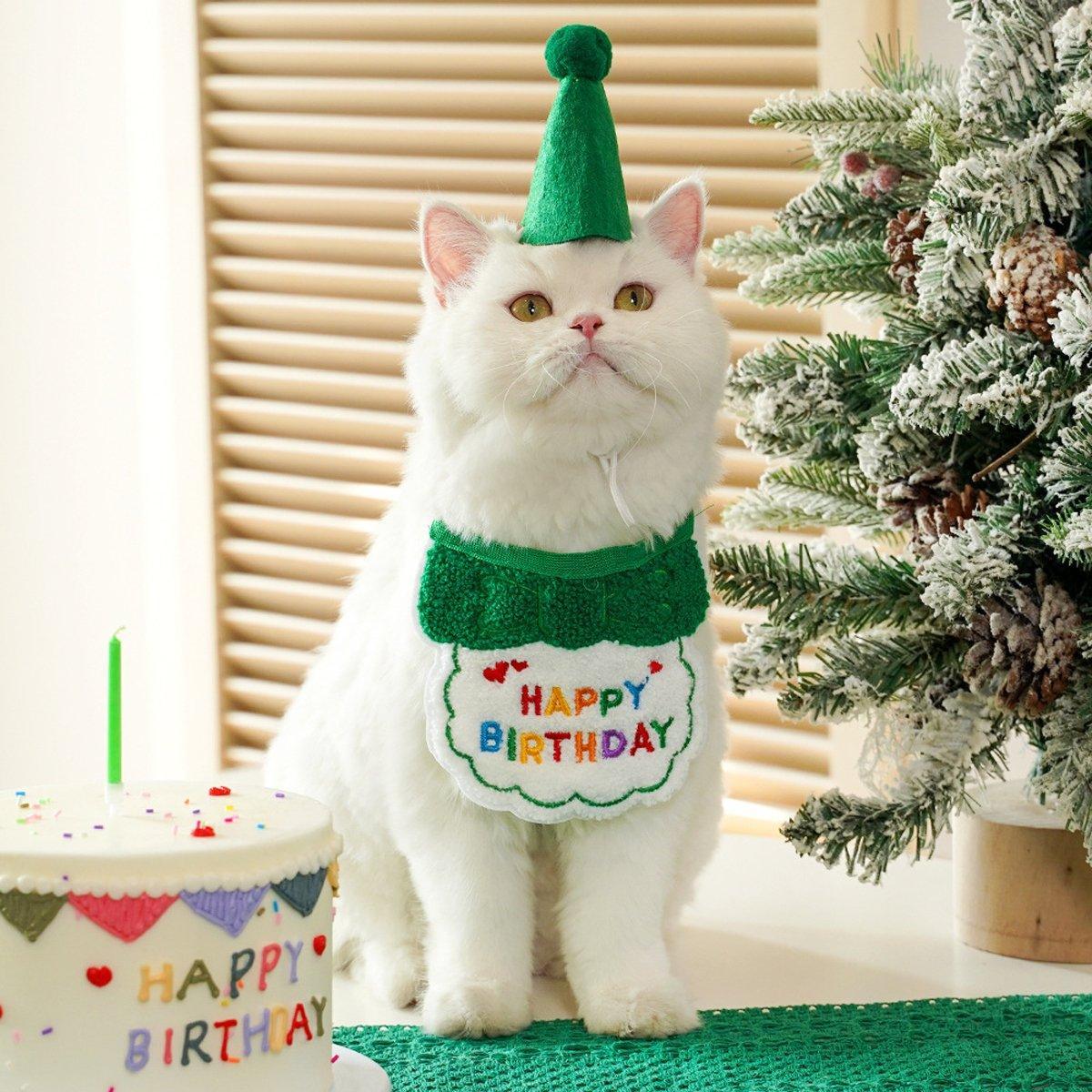 Pet Birthday Dog Cat Bib Scarf Hat Accessory Dogs Cats Celebration - Red