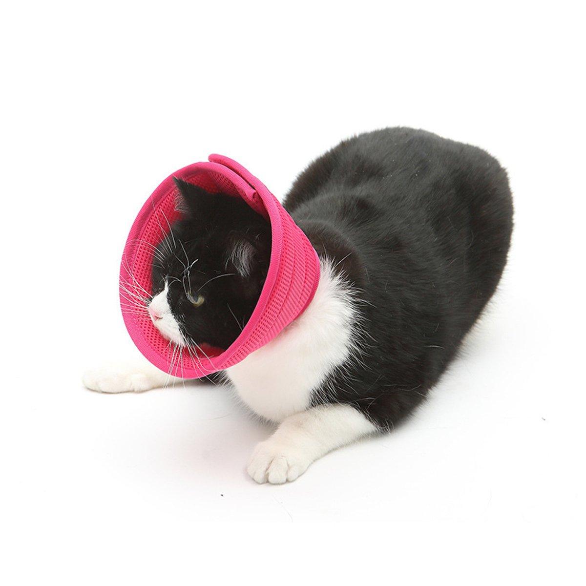 Elizabethan Collar Anti Licking Biting Pet Collar for Cats and Dogs Recovery Use - Grey-Size4