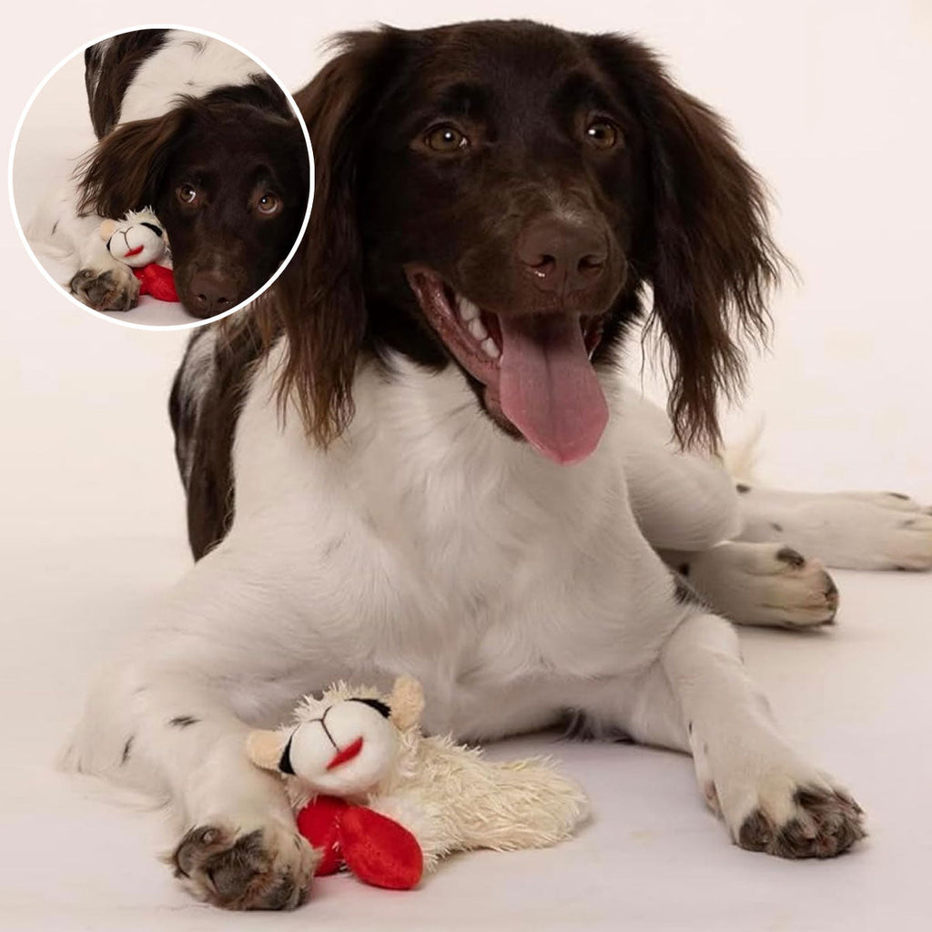 Lamb Shape Dog Toy Soft Plush Chew Toy for Puppy Small Dogs Squeaky Play Pet