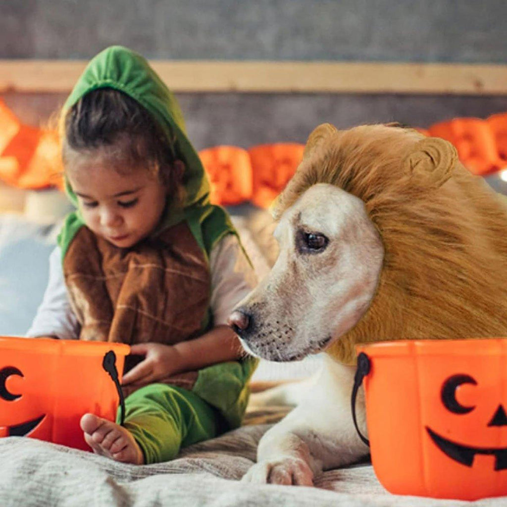 Lion Costume Mane Wig Large Dog Fancy Dress Up Party for Pet Halloween Clothes - Coffee-M
