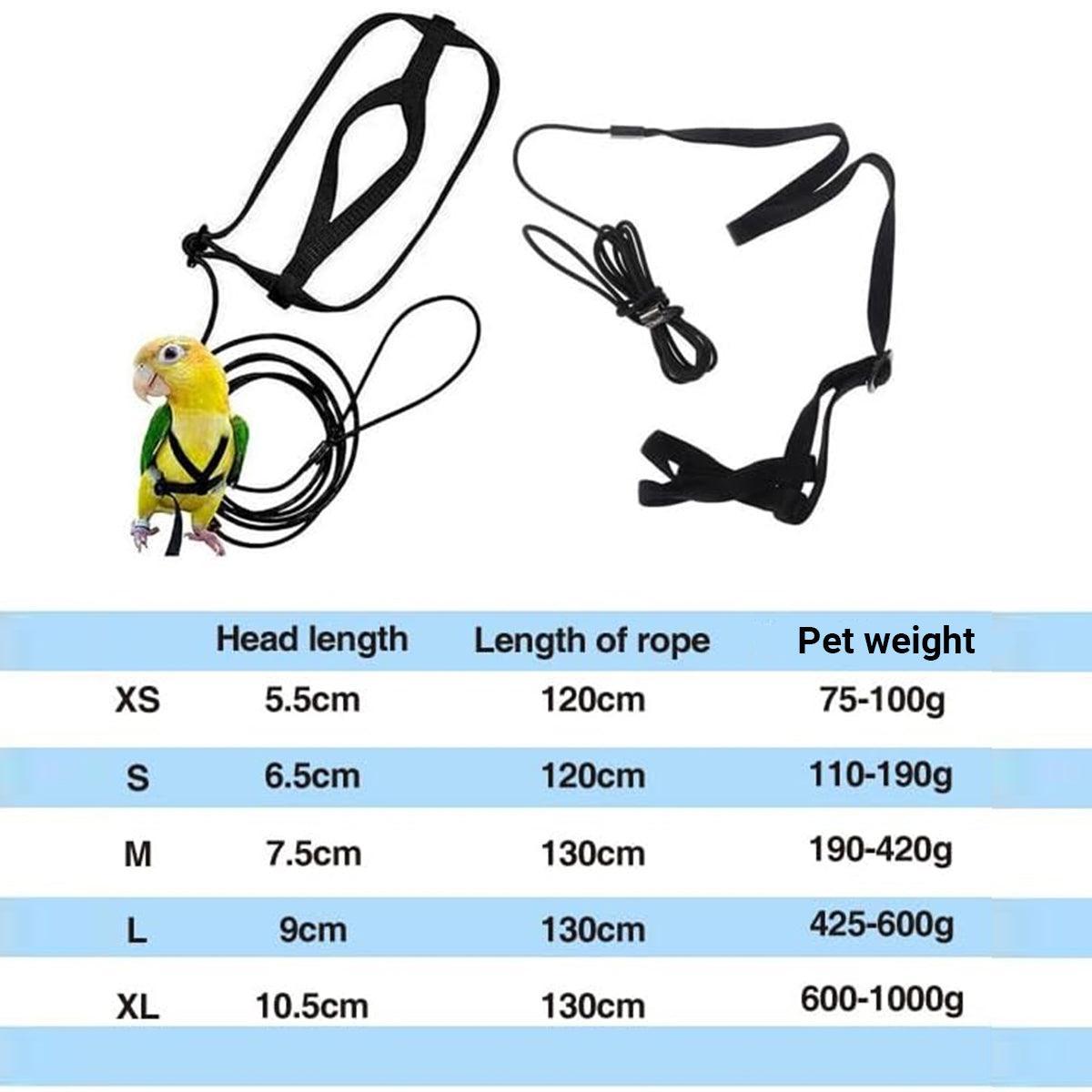 M Pet Parrot Bird Harness Lead Leash Flying Training Rope Cockatiel Outdoor - Blue