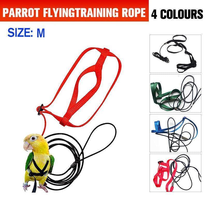 M Pet Parrot Bird Harness Lead Leash Flying Training Rope Cockatiel Outdoor - Green