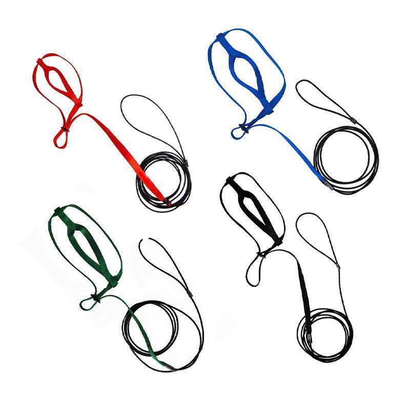 M Pet Parrot Bird Harness Lead Leash Flying Training Rope Cockatiel Outdoor - Red