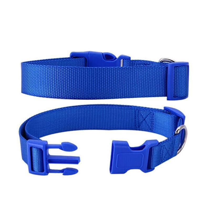XS Size Dog Puppy Pet Collar Adjustable Nylon Toy Pink Blue Red Black - Blue