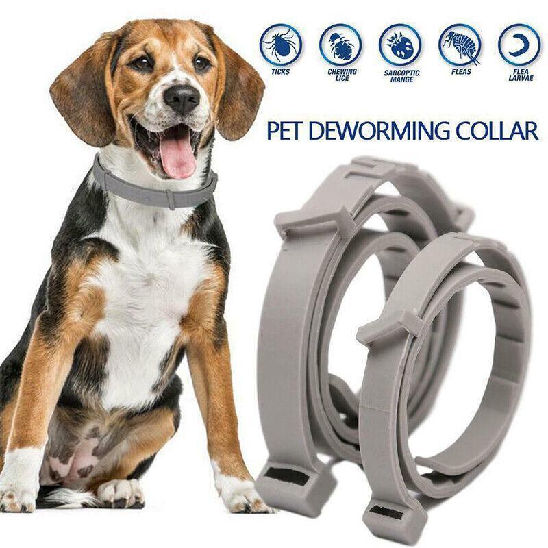 Adjustable Flea and Tick Collar for Dogs and Cats with Natural Repellent - Pink