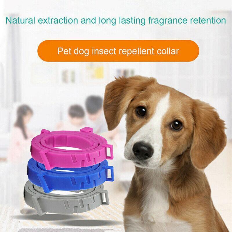 Short Adjustable Pet Anti Flea Tick Neck Collar For Dog Cat Kitten 8 Months Protect - Pink