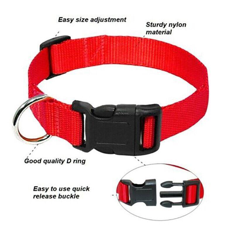 L Size Dog Puppy Pet Collar Adjustable Nylon Toy Large Pink Blue Red Black - Red