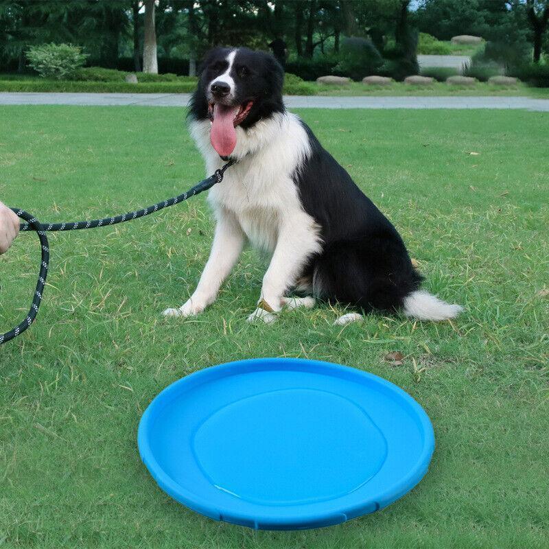 Frisbee Toy for Dogs Outdoor Fetch Training Soft Rubber Pet Flying Disc 18cm - Red
