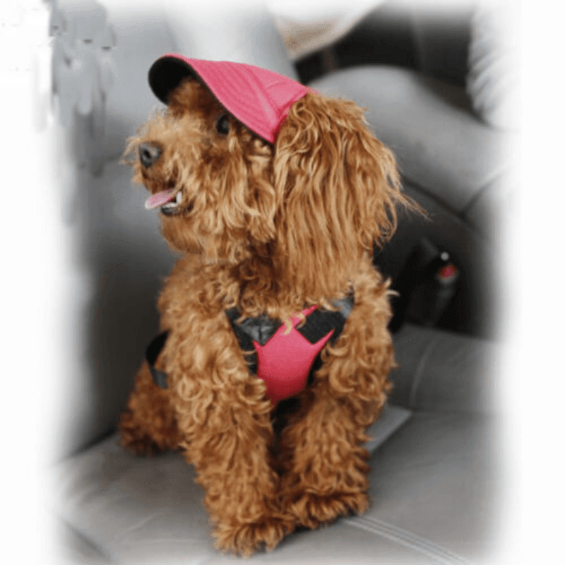 Dog Baseball Cap Outdoor Pet Sun Hat Summer Canvas Visor Puppy S Size - Blue