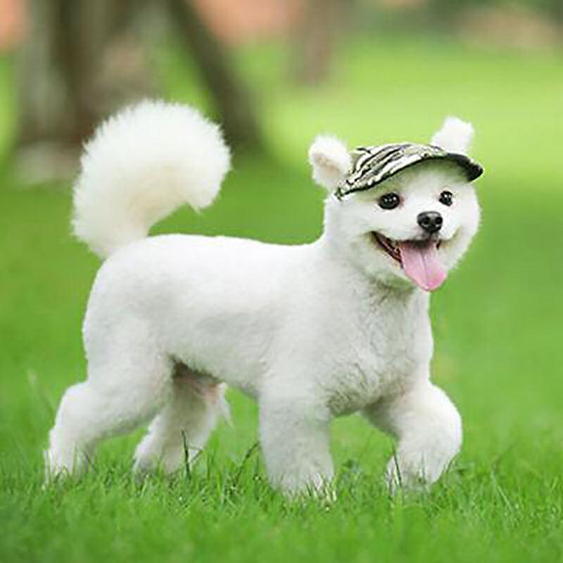 Dog Baseball Cap Outdoor Pet Sun Hat Summer Canvas Visor Puppy M Size - Red