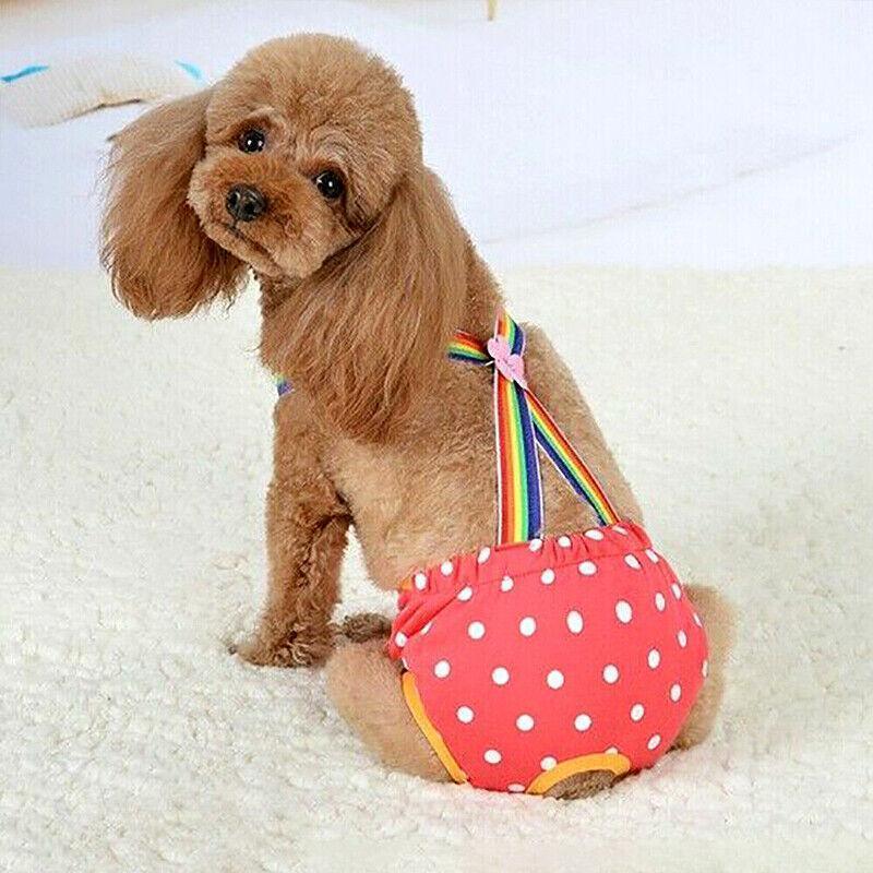Female Pet Dog Cat Puppy Pant Menstrual Sanitary Nappy Diaper Wrap Underwear Blue - L
