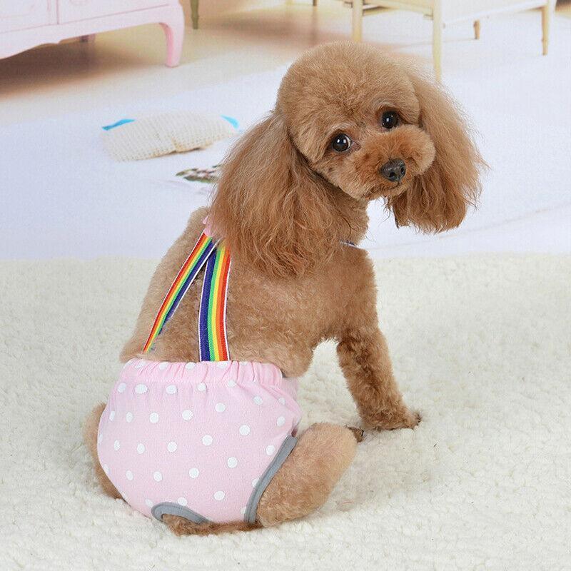Female Pet Dog Cat Puppy Pant Menstrual Sanitary Nappy Diaper Wrap Underwear Blue - XXS