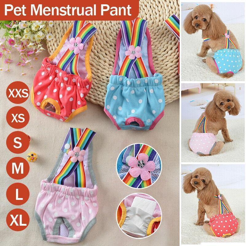 Female Pet Dog Cat Puppy Pant Menstrual Sanitary Nappy Diaper Wrap Underwear Blue - XS