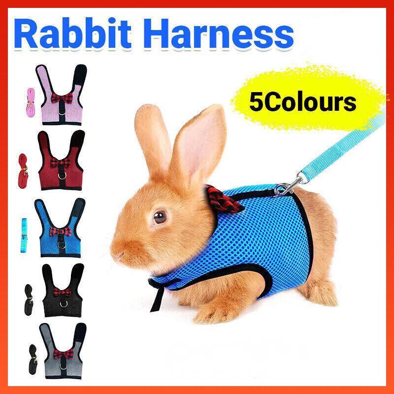 Rabbit Vest Harness Leash Lead Small Animal Pet Mesh Hamster Bunny Traction Rope L - Red