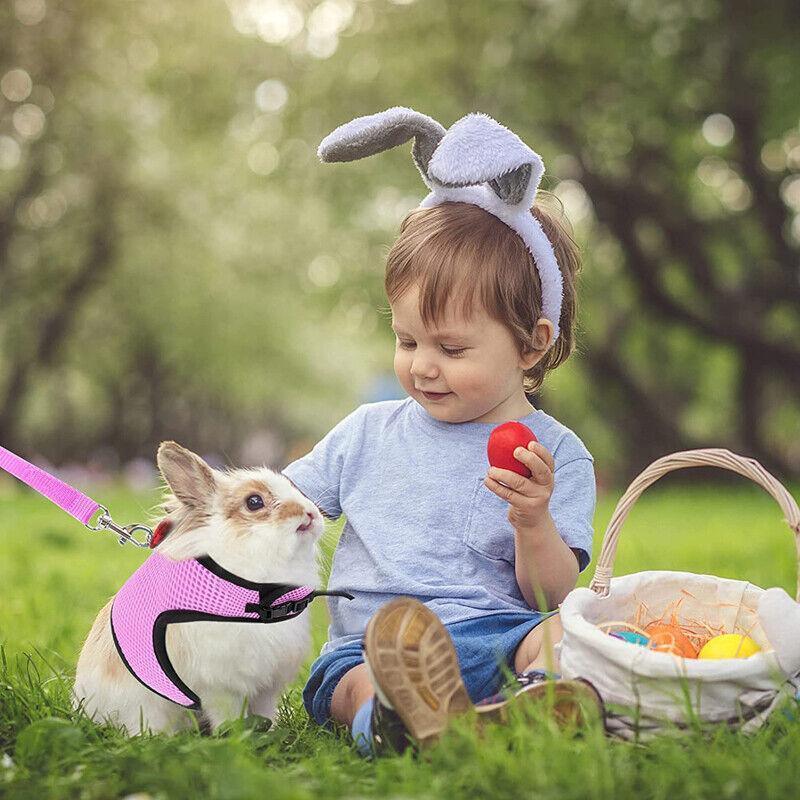 Rabbit Vest Harness Leash Lead Small Animal Pet Mesh Hamster Bunny Traction Rope L - Red