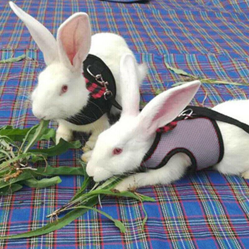 Rabbit Vest Harness Leash Lead Small Animal Pet Mesh Hamster Bunny Traction Rope L - Red