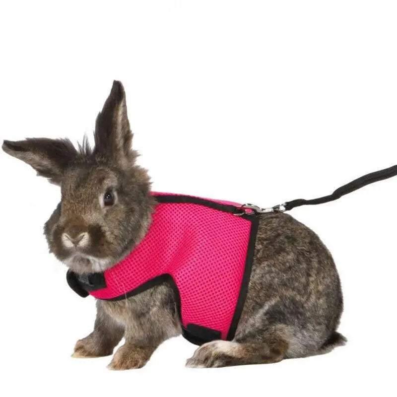 Small Animal Harness Guinea Pig Forret Hamster Rabbit Squirrel Vest Clothes Lead M Size - Blue