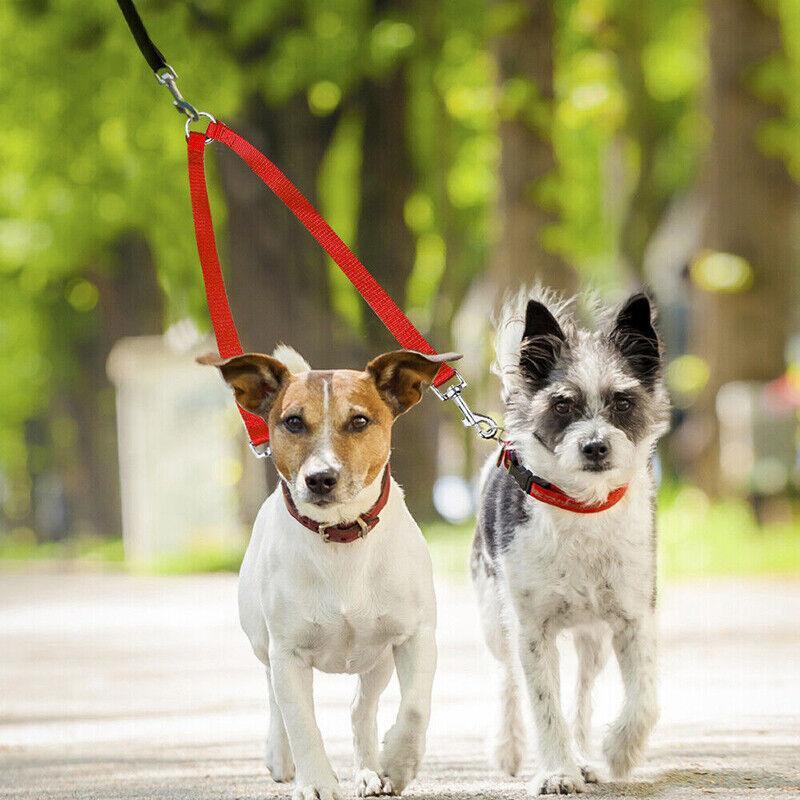 2 Way Double Dual Dog Leash Walk 2 Dogs With One Lead Coupler Nylon Harness - Blue