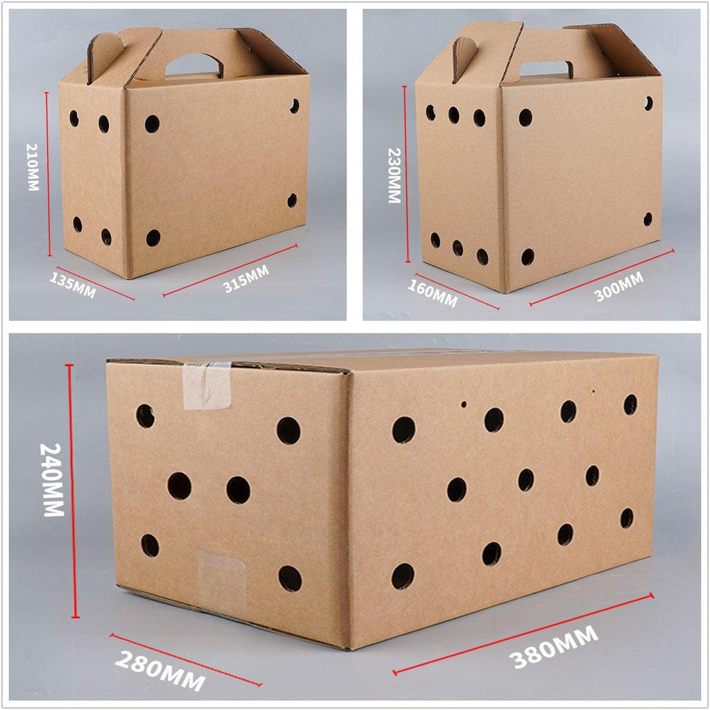 10PCS Disposable Cardboard Pet Carrier - 3 Sizes for Small Animals - 38*28*24CM