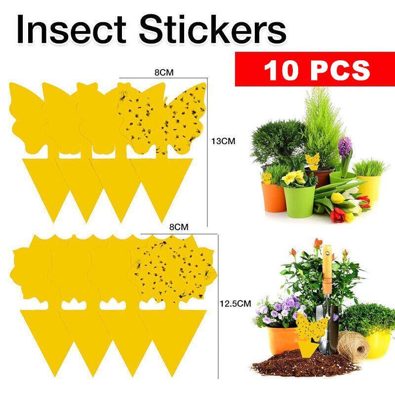 10X Dual Sided Sticky Trap Insect Killer Whitefly Thrip Fruit Fly Gnat - Butterfly 20PCS